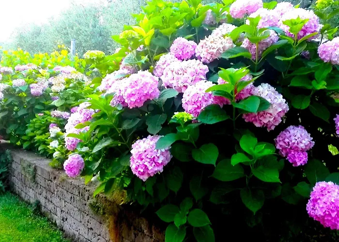 Dell'uva Lägenhet Bardolino